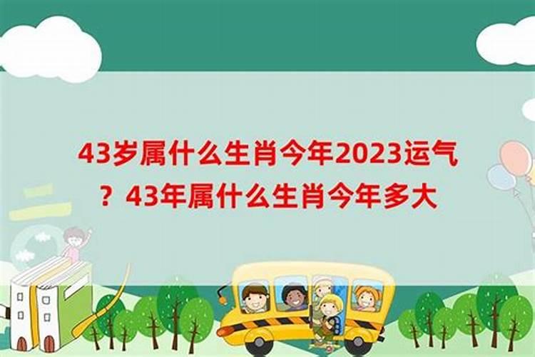 梦见煤灰渣子什么意思呀