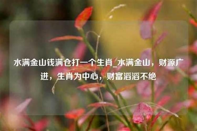 水是什么生肖