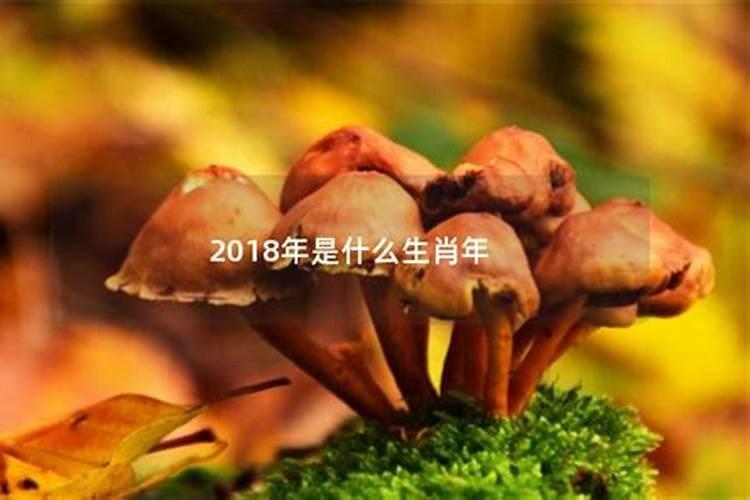 2018年是什么生肖年