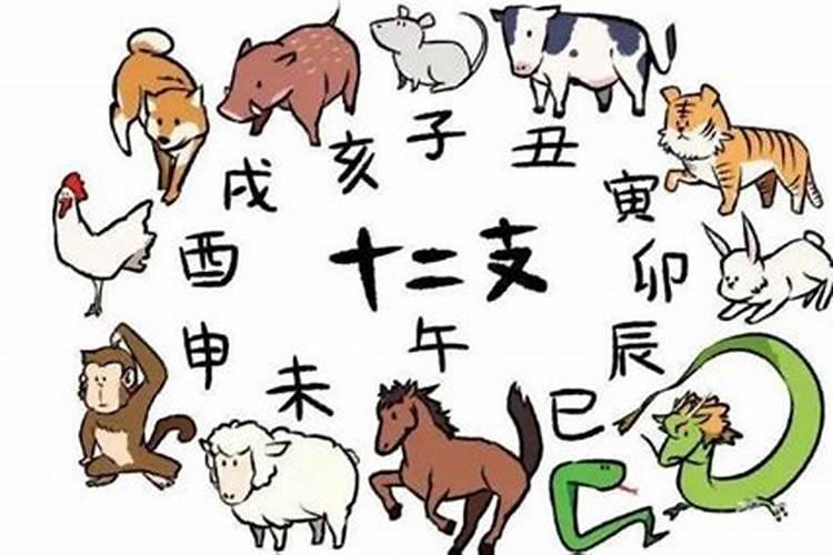 2021属鸡的今年几周岁