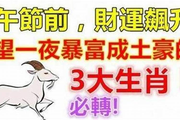 土豪是什么生肖