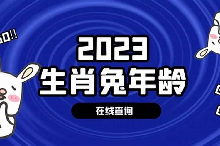 属兔今年多少岁