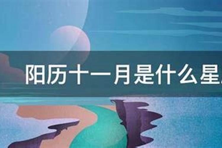 阳历十一月十号属于什么星座