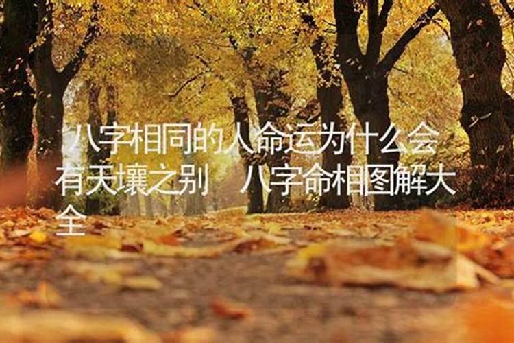 相同八字的人命运不通为什么