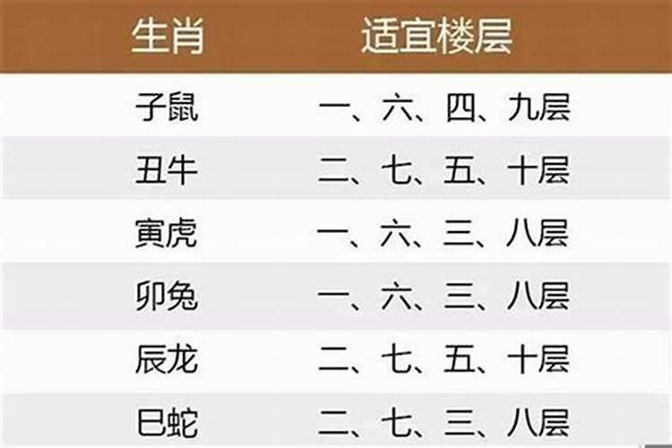 属马的人适合住几楼最好