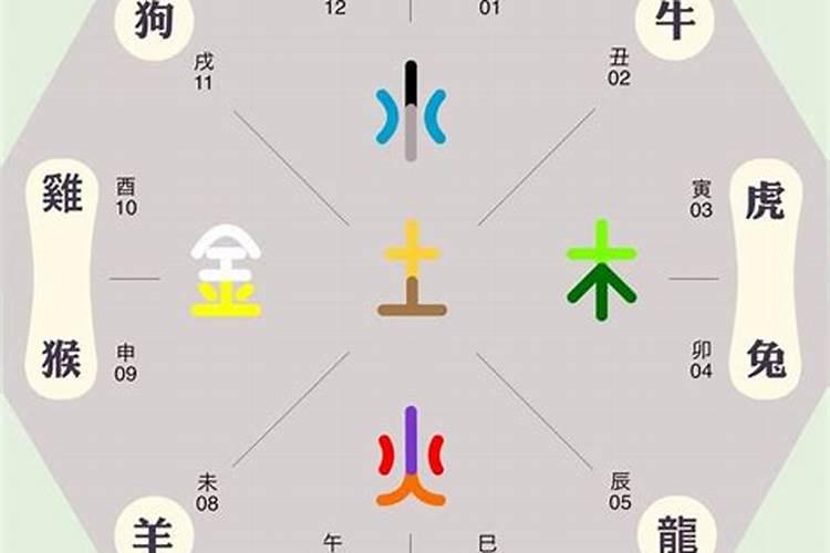 萧字五行属什么