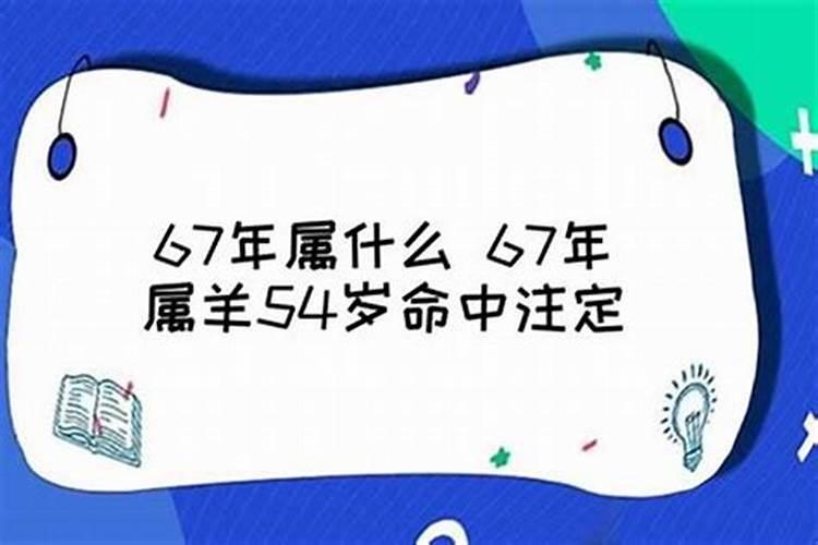 67年五行属什么