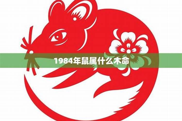 1984年属鼠五行属什么