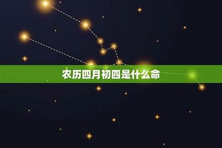 11月初四是什么星座