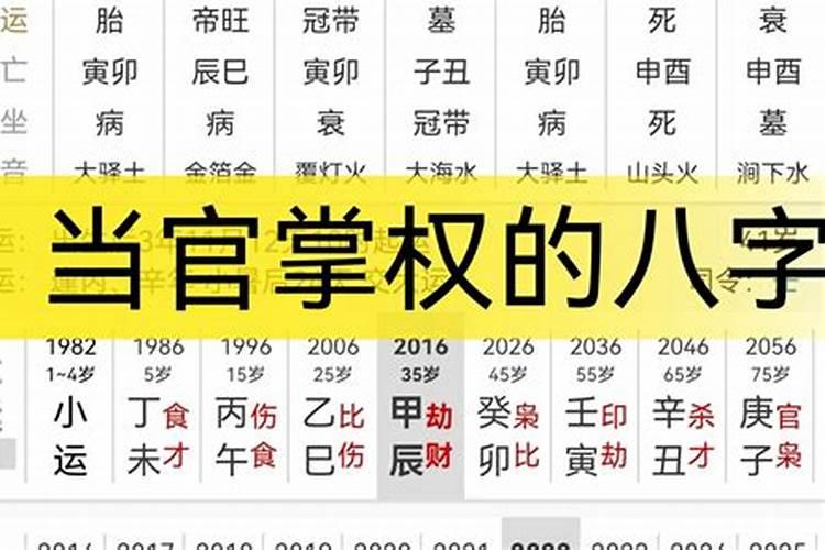 当官的八字特征实例