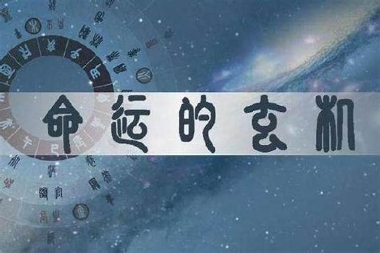 当官八字特点