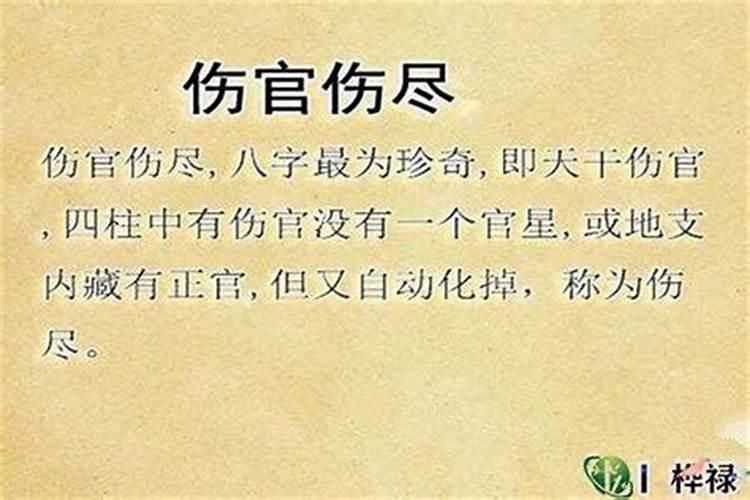 什么样的八字伤官见官