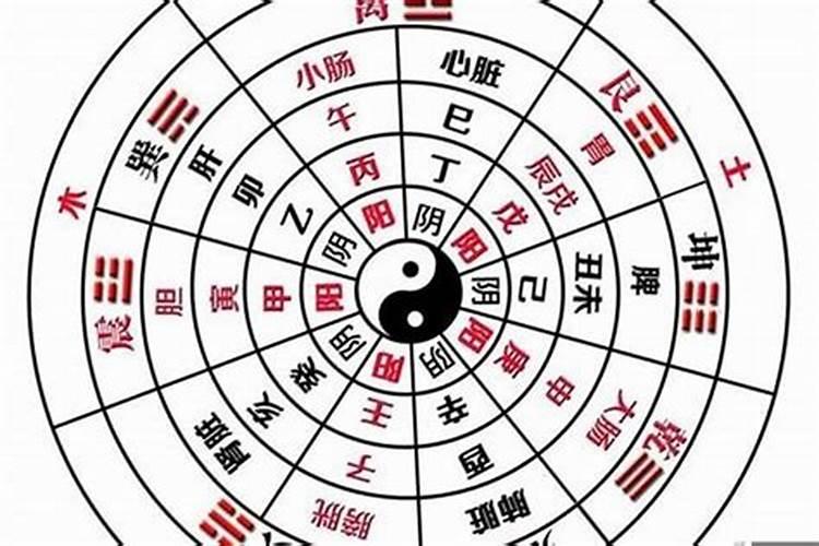 怎么自测八字