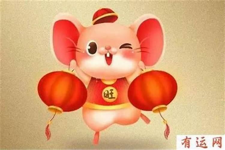 属鼠今年交运吗