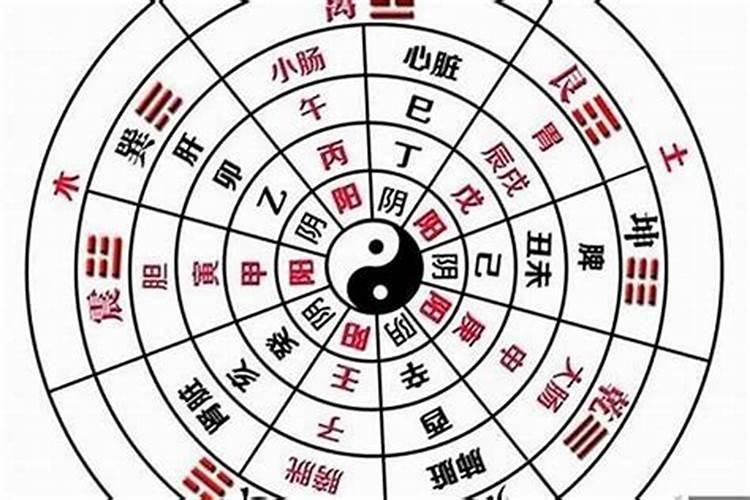 怎么判断八字纯阴或阳