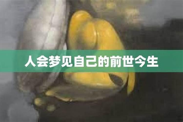 人会梦见自己前世吗