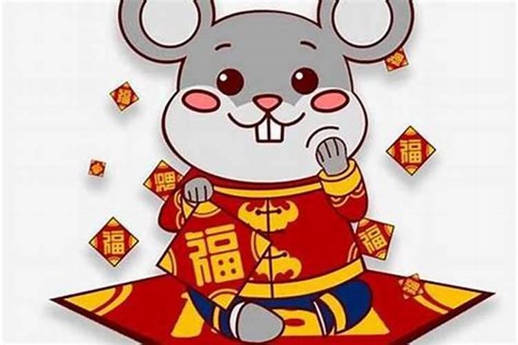 属鼠今年交运吗