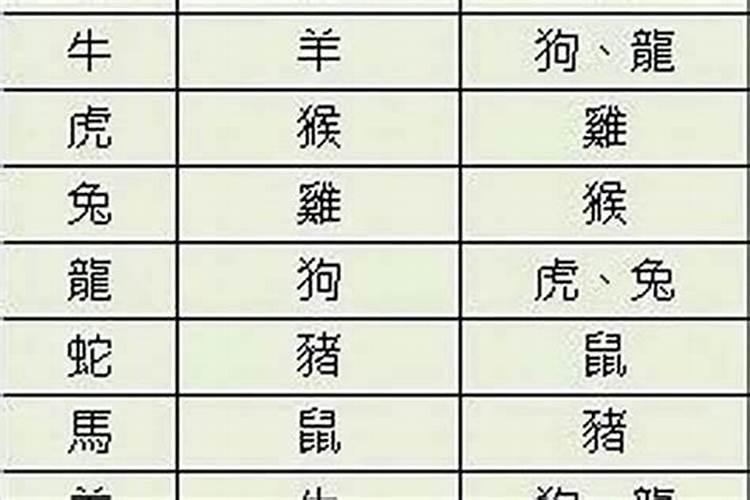 28岁生肖鸡和21岁龙婚姻