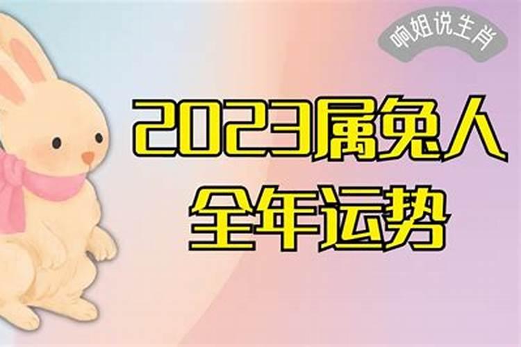 2023属兔的全年运势