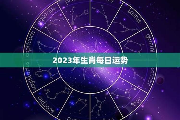 生肖运势2023年运势大全每日