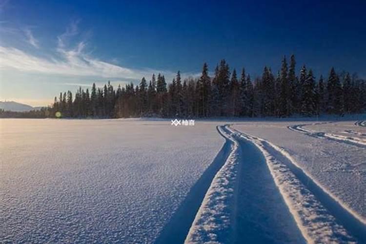 梦见下雪什么征兆