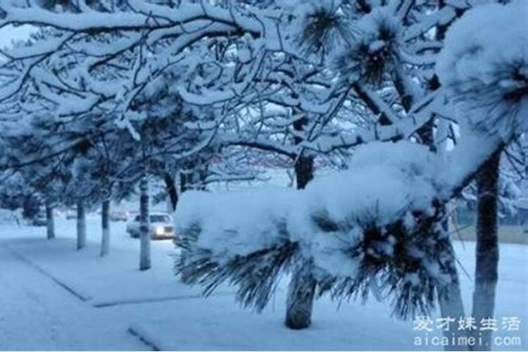 梦到下雪什么意思