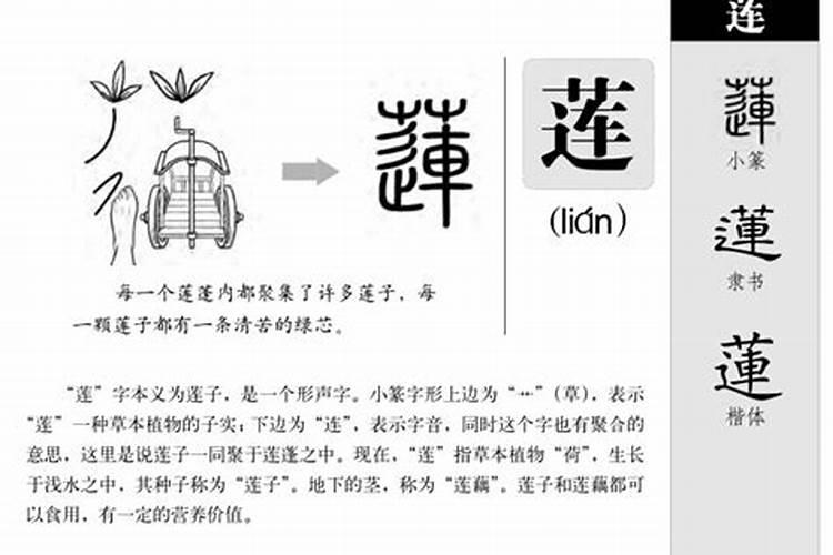 梦见自己在别人家打扫水