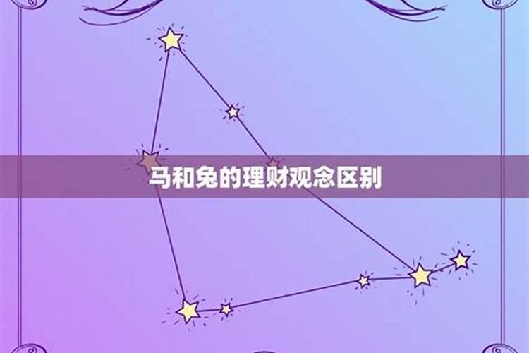 属马与属兔的属相合不合财运