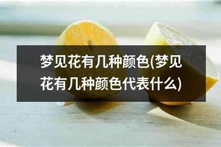 梦里梦见花代表什么