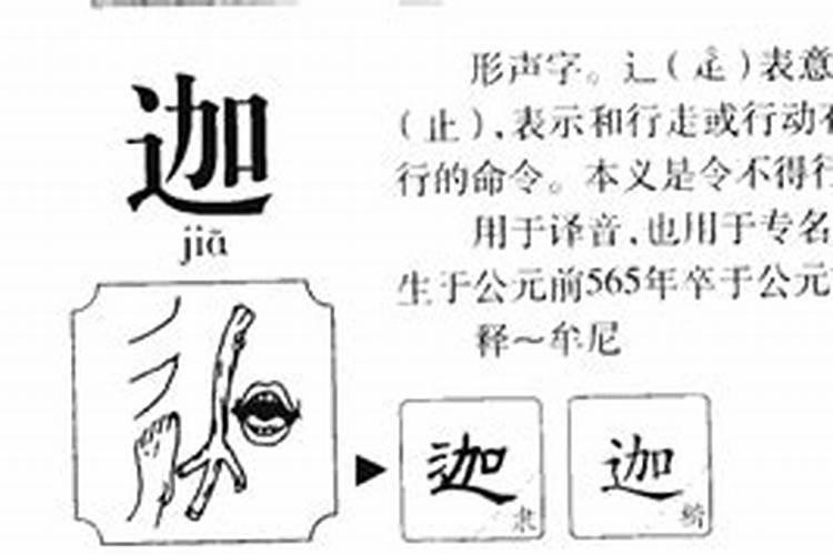 伽字五行属什么