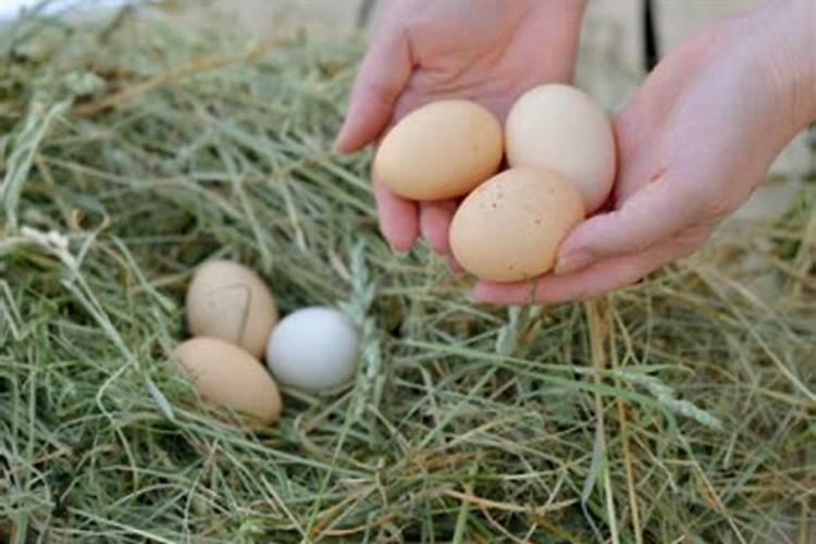 孕妇梦见捡鸡蛋是什么意思,好不好,代表什么