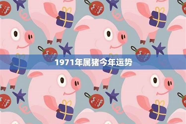 1971年属猪的运势如何样