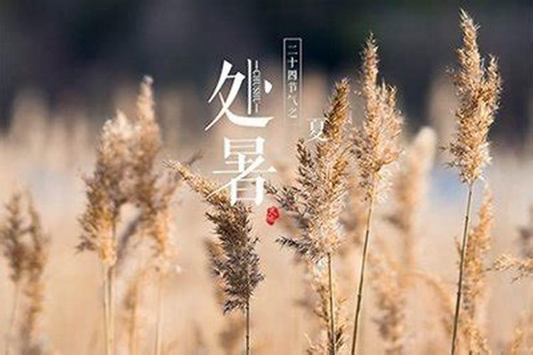 梦见麻烦是什么意思