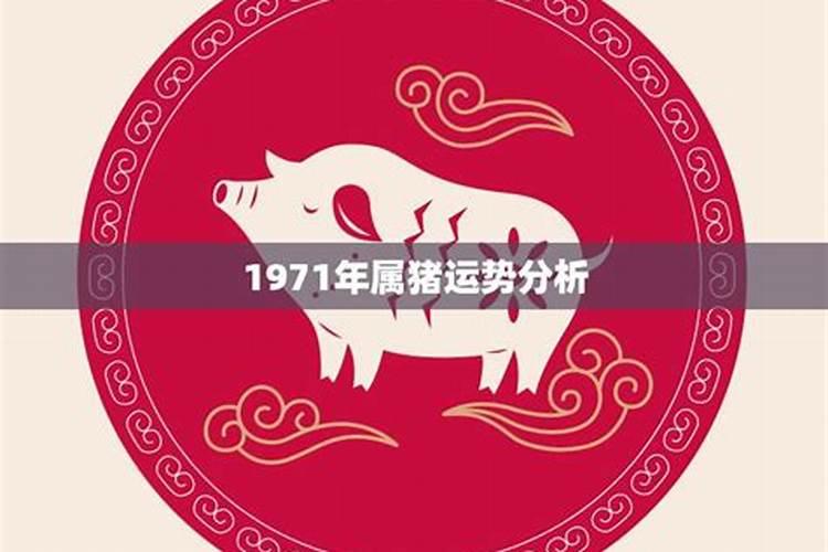 1971年属猪运气如何呢