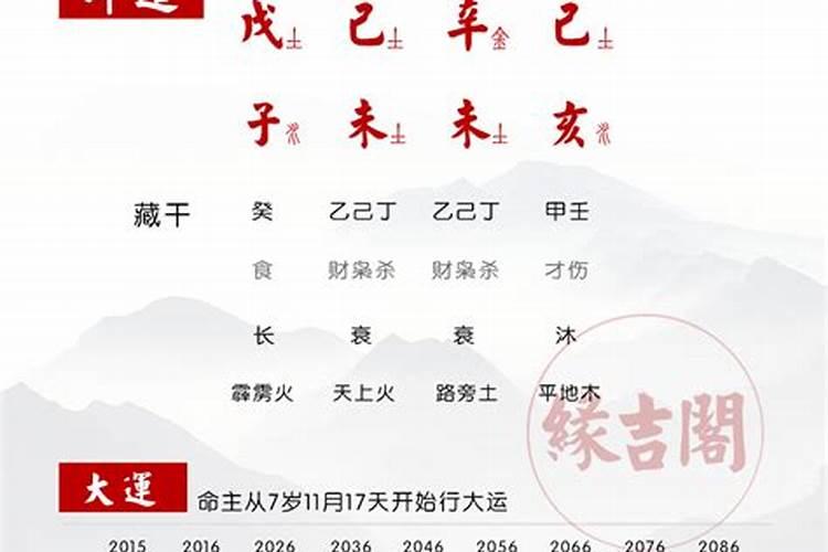 八字枭代表什么