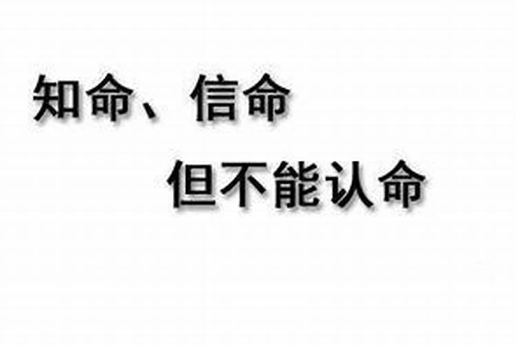 枭在八字中代表什么