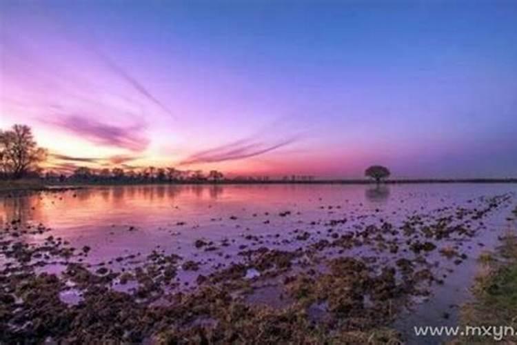 梦见发大水,浑水是什么意思