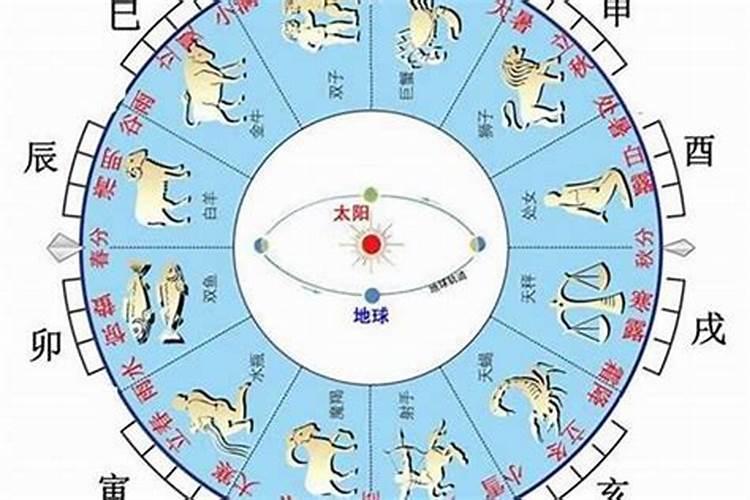 天干地支在八字中的实际运用技巧