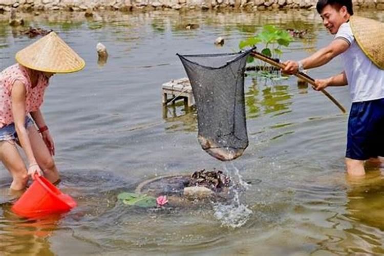 梦见海洋发大水