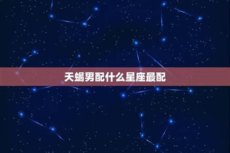 天蝎男配什么星座