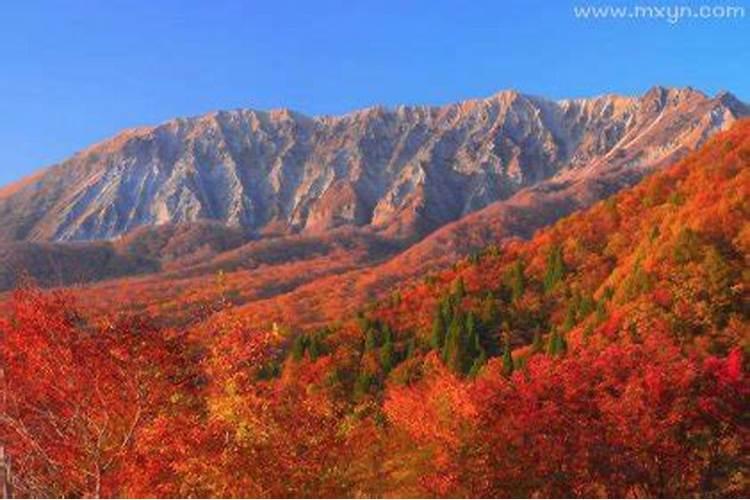 梦见大山啥意思