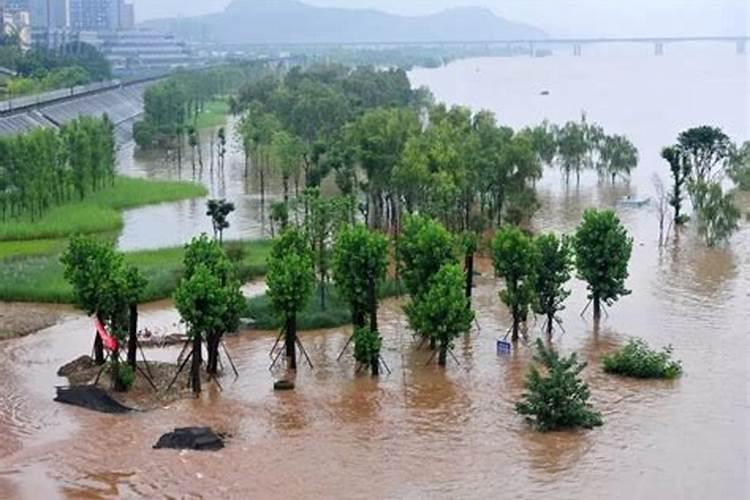 梦见龙王下大暴雨