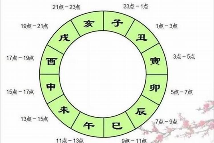 卯时男和亥时女婚配可以吗