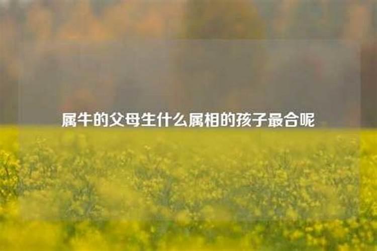 父母生什么属相的孩子最好