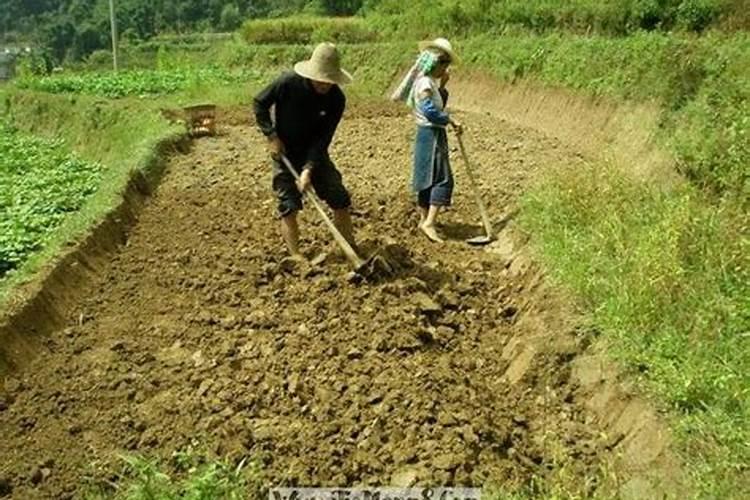 梦见挖山是什么意思啊