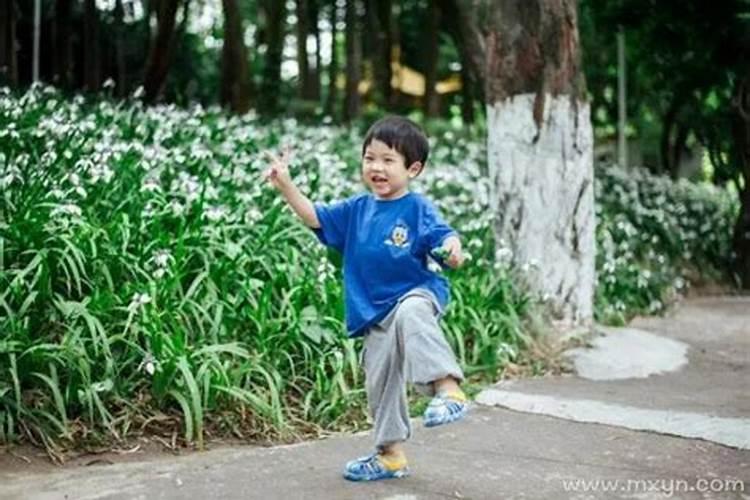 梦见什么预示怀男孩儿