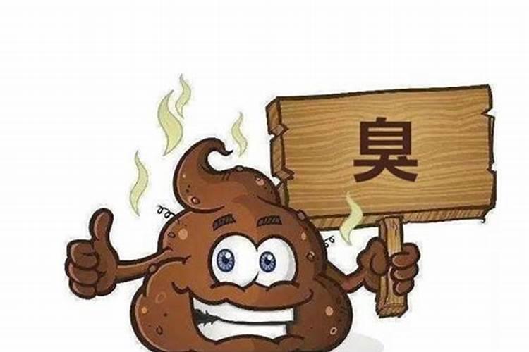 梦见屎又黄又臭怎么回事