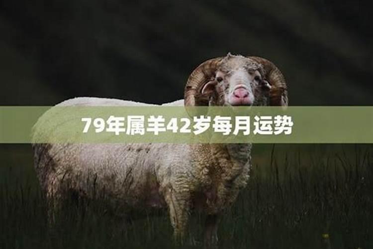 79年属羊男终身寿命