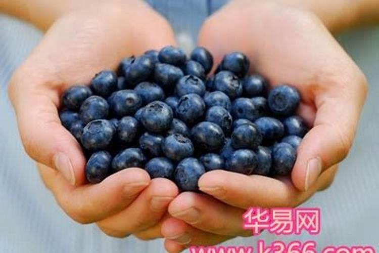 梦见吃蓝莓是什么意思