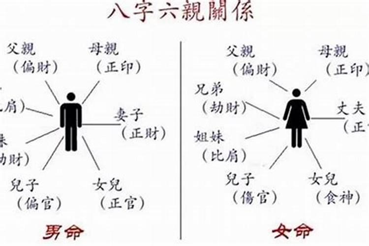 父母的八字可以推算出儿子的八字吗